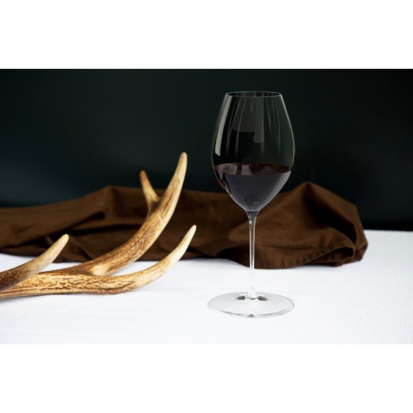 Stiklinės 2 vnt. vynui 631 ml Performance Syrah – Riedel-image-1