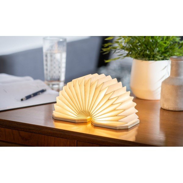 Natūralios spalvos šviečianti dekoracija USB Accordion – Gingko-image-1