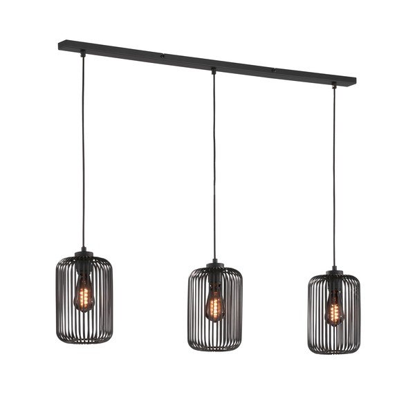 Kabantis šviestuvas juodos spalvos su metaliniu gaubtu Cage – Fischer & Honsel