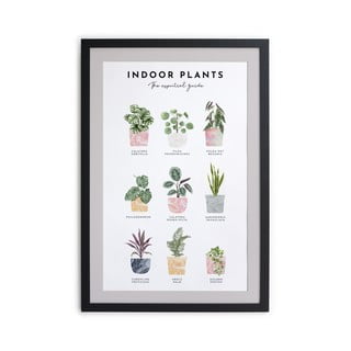 Paveikslas rėmuose Really Nice Things Indoor Plants, 30 x 40 cm