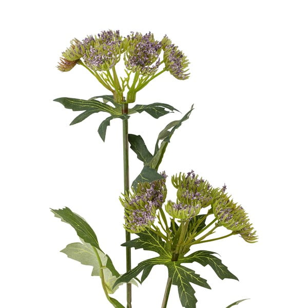 Dirbtinis augalas (aukštis 49 cm) Throatwort – Bloomingville-image-2