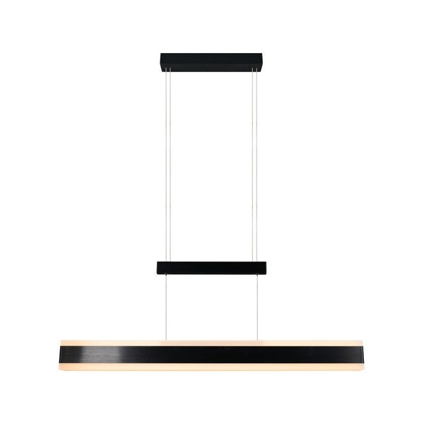 Matinės juodos spalvos kabantis šviestuvas LED su metaliniu gaubtu Arcola – Trio