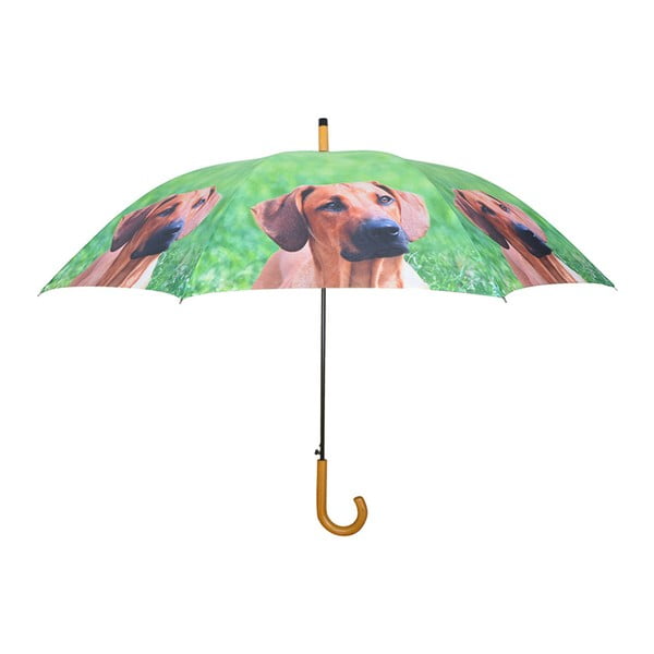 Žalias skėtis su šunimis Esschert dizainas
