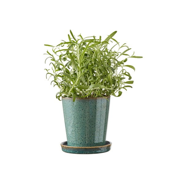 Iš molio gėlių vazono dangtelis ø 10 cm Gastro Green/Black – Bitz-image-1