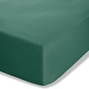 Tamsiai žalios spalvos iš perkalio paklodė su guma 90x190 cm Easy Iron Percale – Catherine Lansfield