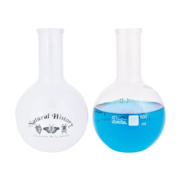 Iš stiklo  vaza (aukštis 23 cm) Natural History – Esschert Design-image-2