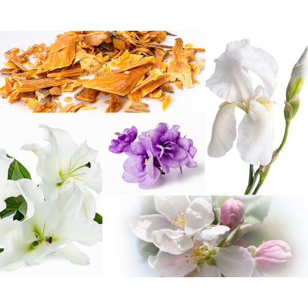 Aromatinė žvakė iš sojų vaško degimo laikas 60 h Muscs Poudres – Privé Home-image-2