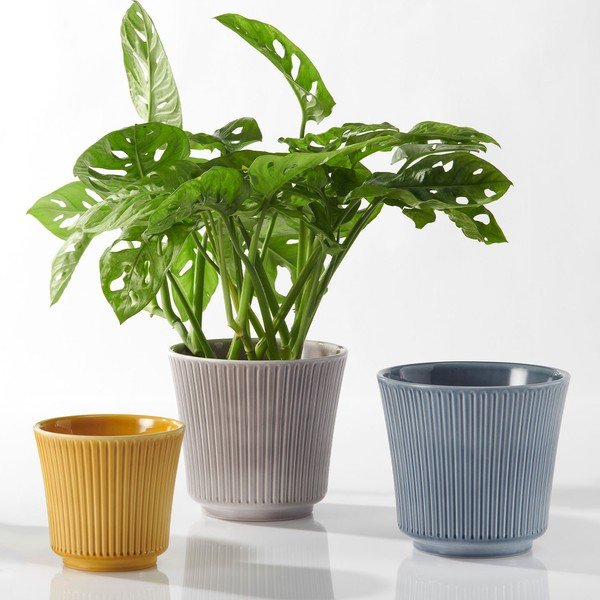 Geltonos spalvos keraminis vazonas Big Pots Gloss, ø 12 cm-image-1