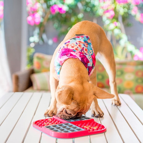 Laižymo kilimėlis augintiniams Slomo Red – LickiMat-image-1