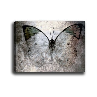 Paveikslas Tablo Center Fading Butterfly, 70 x 50 cm