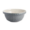 Pilkos spalvos iš akmens masės dubuo ø 24 cm Colour Mix – Mason Cash