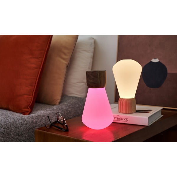 Natūralios spalvos pritemdomas stalinis šviestuvas (aukštis 19 cm) Pentagon - Gingko-image-4