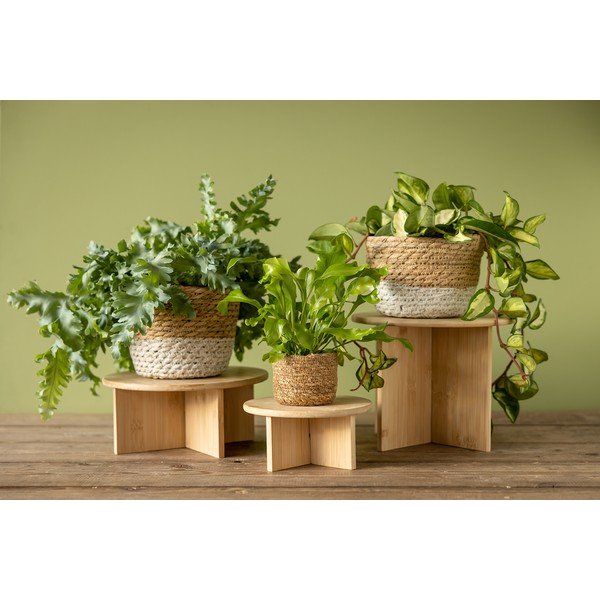 Iš bambuko gėlių stovas ø 25 cm (aukštis 19,5 cm) – Esschert Design-image-3
