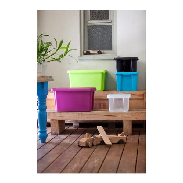 Mėlyna daiktadėžė su dangčiu Curver Essentials, 45 l-image-2