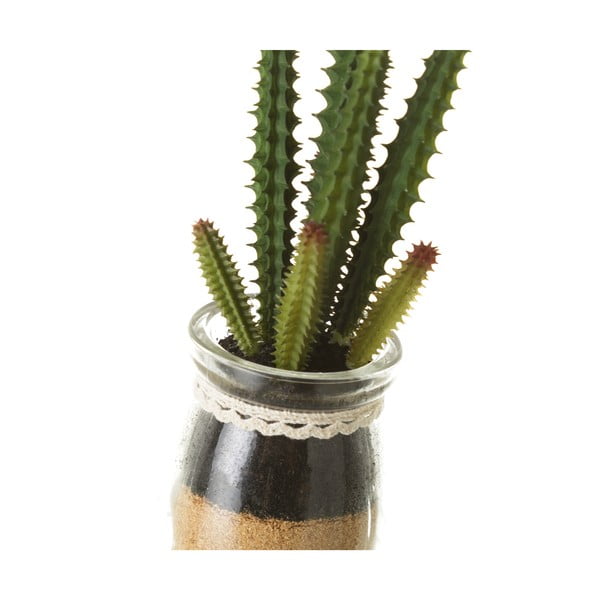 Dirbtiniai augalai 4 vnt. (aukštis 18 cm) Cactus – Casa Selección-image-1