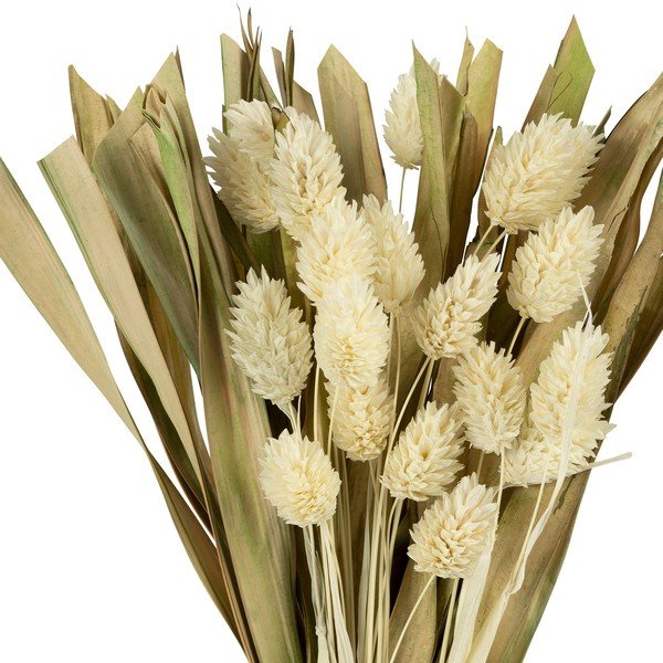 Dirbtinės gėlės Phalaris - Sema-image-1