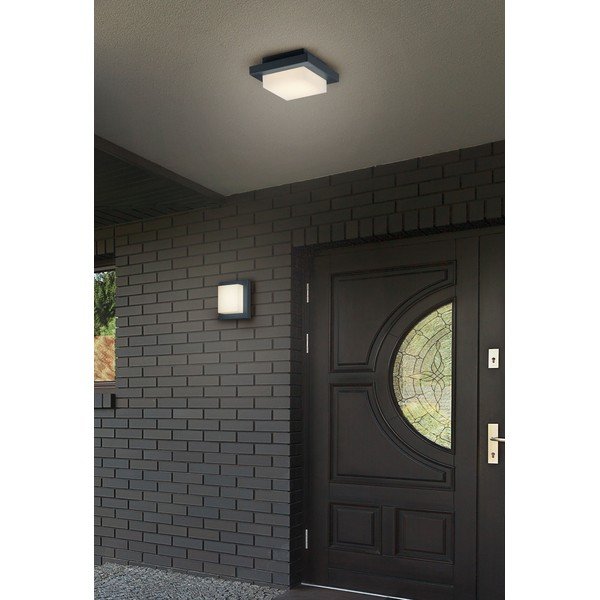 Sieninis lauko šviestuvas LED (aukštis 14 cm) Hondo – Trio-image-2
