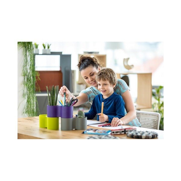 Violetinė dviguba sodinukė Plastia Modulo-image-4