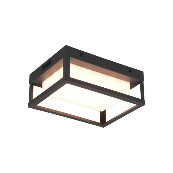 LED lauko sieninis šviestuvas (aukštis 24 cm) Witham - Trio-image-4