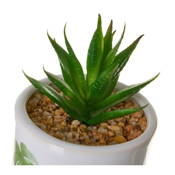 Dirbtinės gėlės 4 vnt. Cactus – Casa Selección-image-1