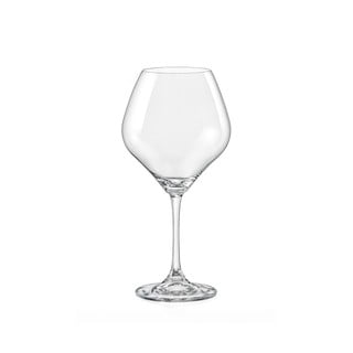 2 vyno taurių rinkinys Crystalex Amoroso, 450 ml