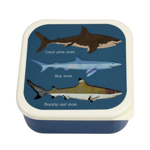 Tamsiai mėlynos spalvos vaikiškos pietų dėžutės 3 vnt. Sharks – Rex London-image-3