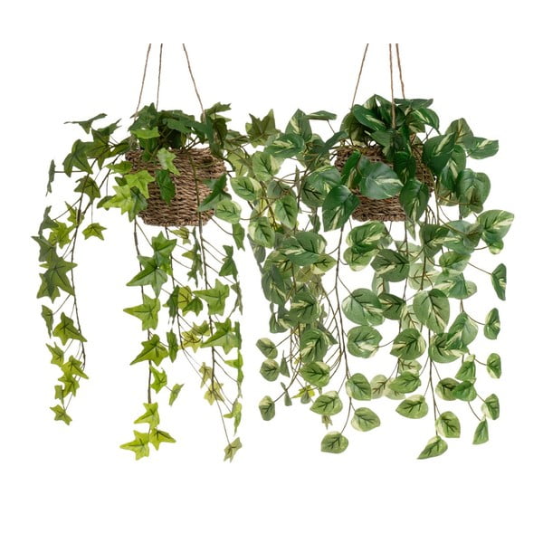 Dirbtiniai augalai 2 vnt. (aukštis 50 cm) – Casa Selección