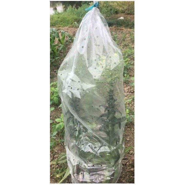 Sodo brezentas 5 vnt. – Garden Pleasure