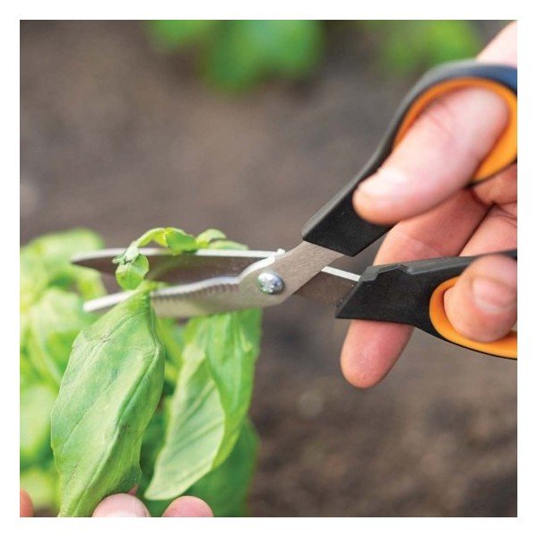 Žolelių žirklės Fiskars Solid Veggie-image-1