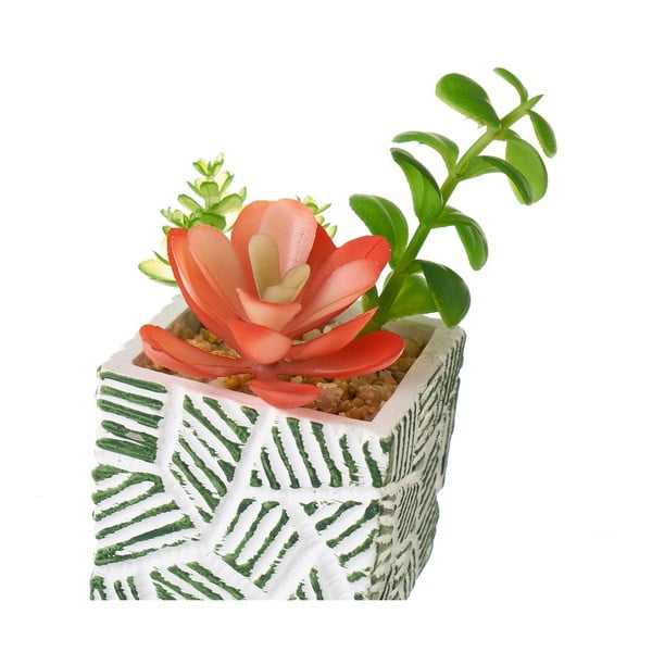 Dirbtiniai augalai 3 vnt. (aukštis 12 cm) Cactus – Casa Selección-image-3