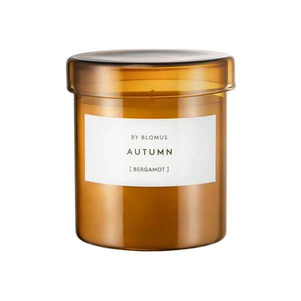 Aromatinė žvakė iš sojų vaško degimo laikas 45 h Valoa Autumn – Blomus