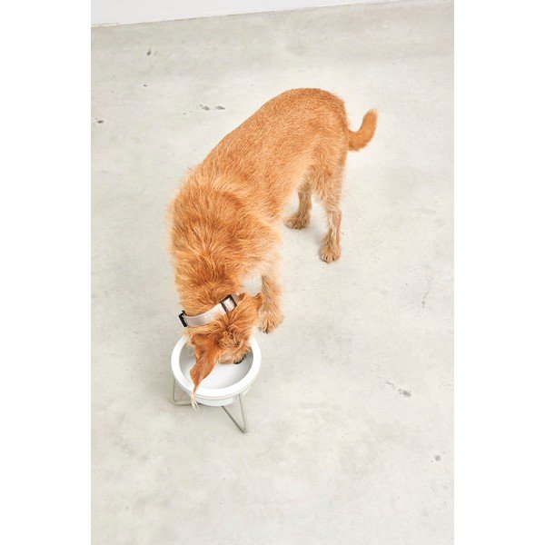 Iš porceliano dubuo su pagrindu šuniui ø 20 cm Pranzo Greige M – MiaCara-image-4