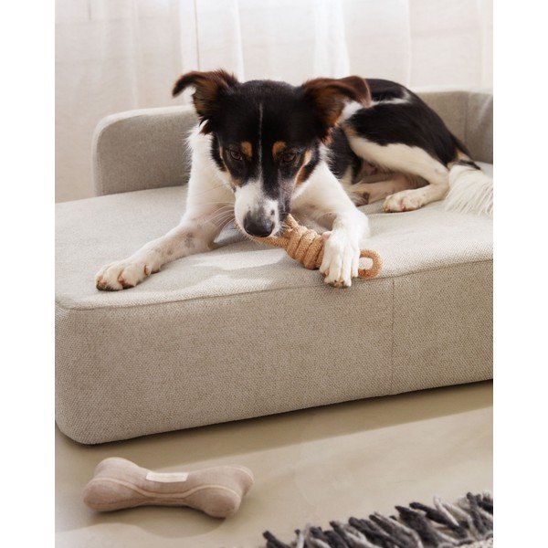 Smėlio spalvos šuns lova 96x70 cm Bowie - Kave Home-image-2