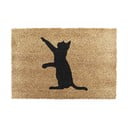 Iš kokoso pluošto grindų kilimėlis 40x60 cm Cat – Artsy Doormats