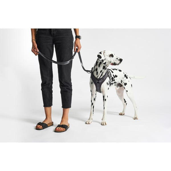 Dirželis tamsiai pilkos spalvos L ilgis 42 cm Modena Asphalt L – MiaCara-image-1