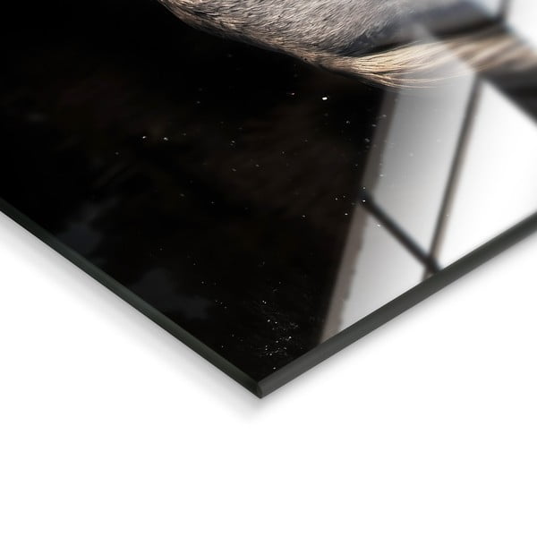 Paveikslas ant stiklo 120x80 cm Ele - Styler-image-3