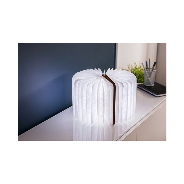Natūralios spalvos šviečianti dekoracija USB Booklight – Gingko-image-3