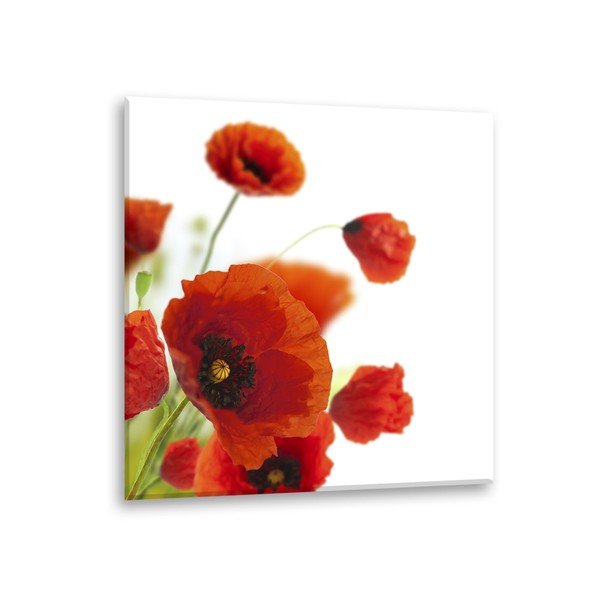Vaizdas Styler Glas Poppies Poppies, 30 x 30 cm-image-2