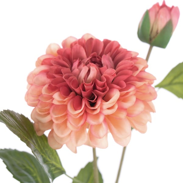 Dirbtinės gėlės 10 vnt. (aukštis 62 cm) Dahlia – Restilo-image-2
