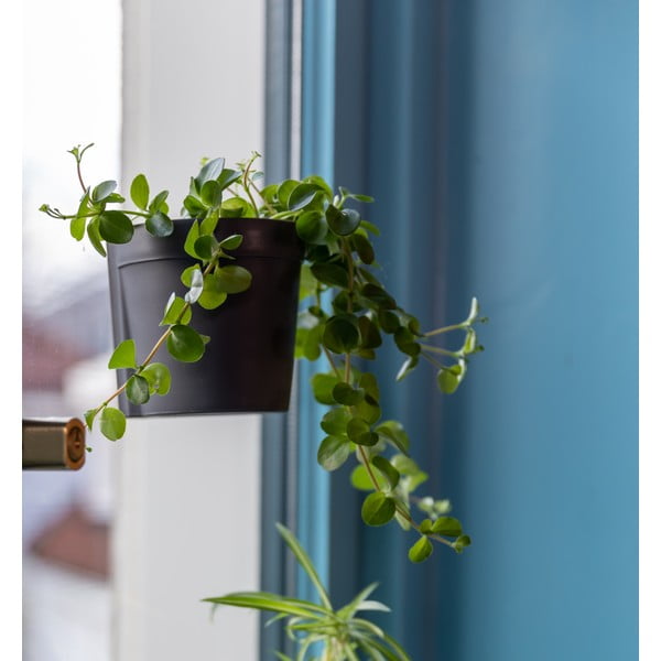 Iš plastiko pakabinami ir sieniniai vazonai 2 vnt. ø 10 cm – Esschert Design-image-4