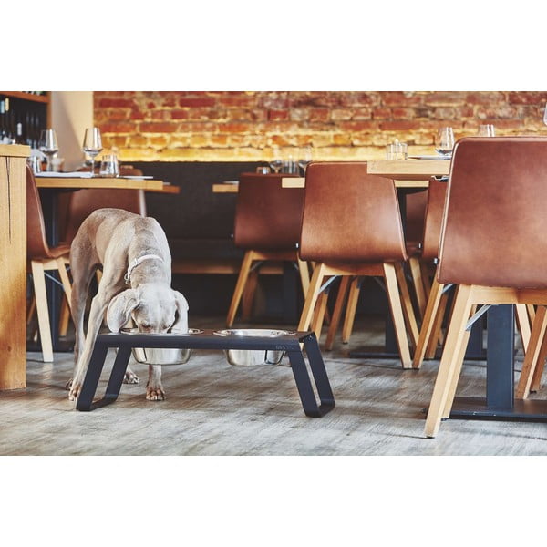 Iš metalo dubenėlių komplektas su stovu šuniui Desco White L – MiaCara-image-1