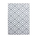 Kilimas šviesiai pilkos spalvos 80x150 cm Plus – Ayyildiz Carpets