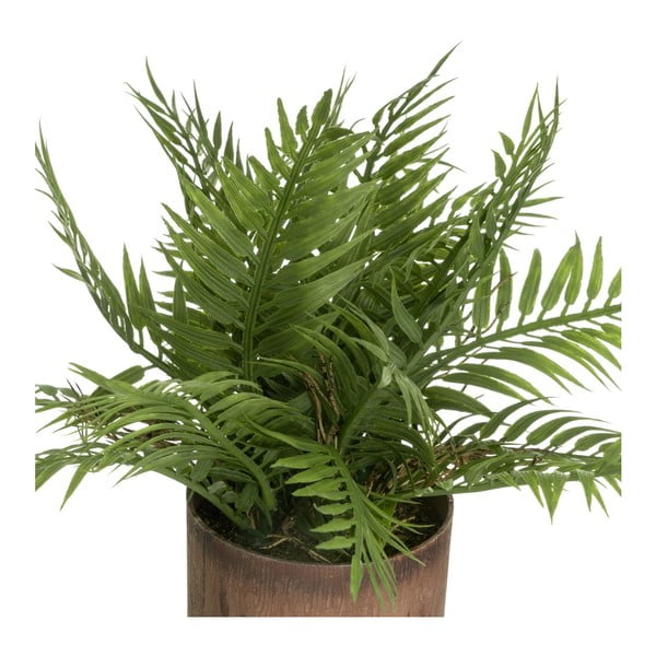 Dirbtiniai augalai 2 vnt. (aukštis 22 cm) – Casa Selección-image-2