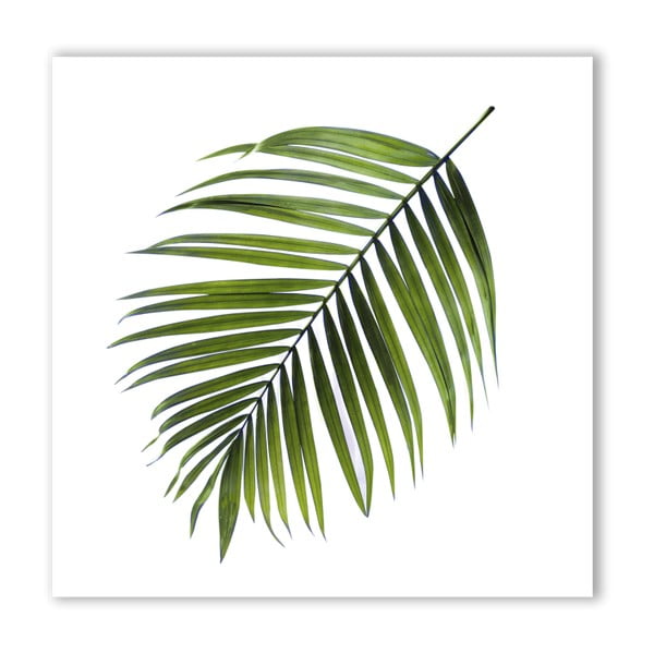 Paveikslas Styler Canvas Greenery Black Palm, 32 x 32 cm