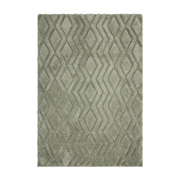 Žalias kilimas 230x160 cm Harrison - Asiatic Carpets