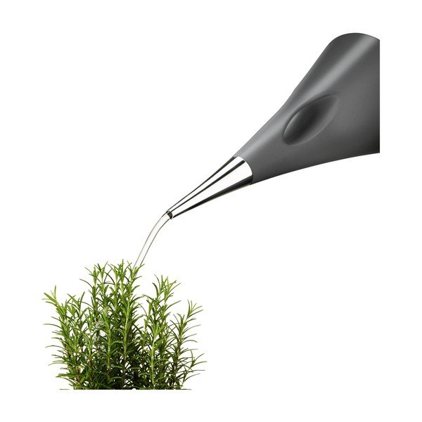 Antracito spalvos arbatinukas Eva Solo AquaStar, 2 l-image-1