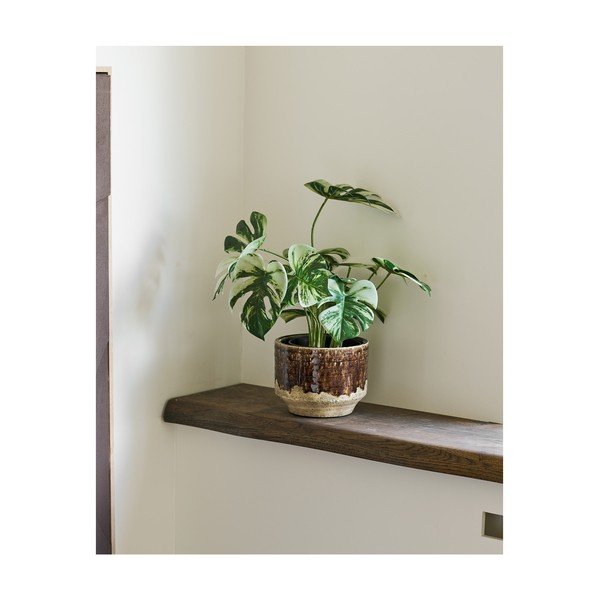 Dirbtinė gėlė (aukštis 41 cm) Monstera – House Nordic-image-1