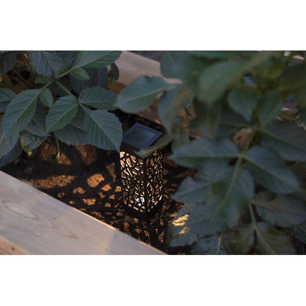 3 pakabinamų saulės energija veikiančių LED žibintų rinkinys Star Trading Izola, aukštis 11 cm-image-2