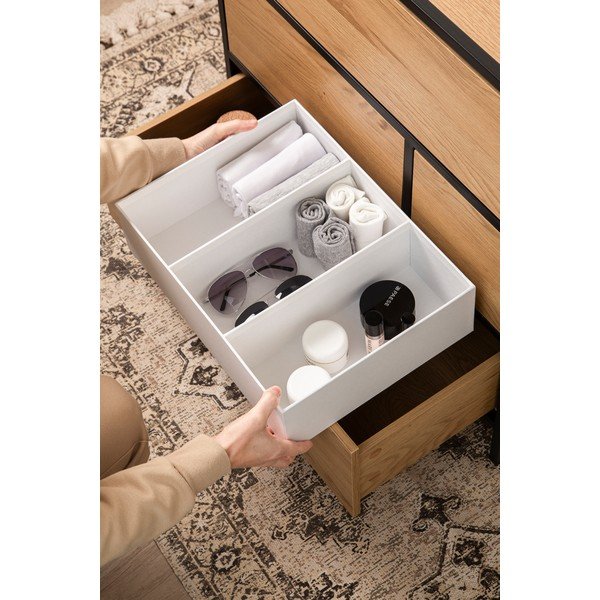 Stalčių organizatorius iš kartono Vidar – Bigso Box of Sweden-image-1