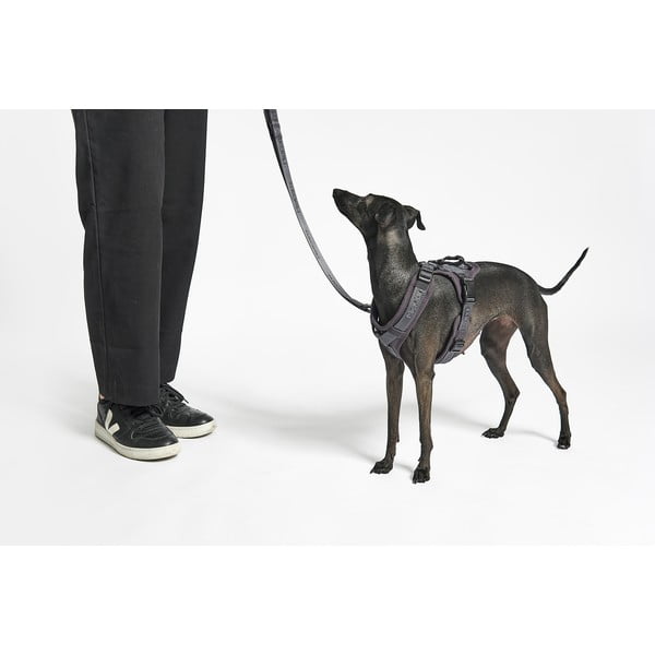 Dirželis smėlio spalvos M ilgis 35 cm Modena Greige M – MiaCara-image-4